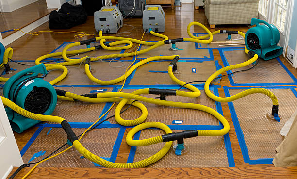 Professional Sewage Cleanup technician working in Bradford, RI